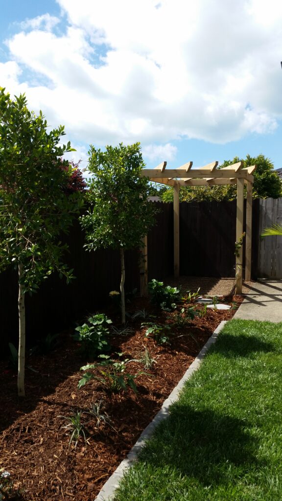Beautiful landscaped backyard - Plant & Construction Landscaping Services